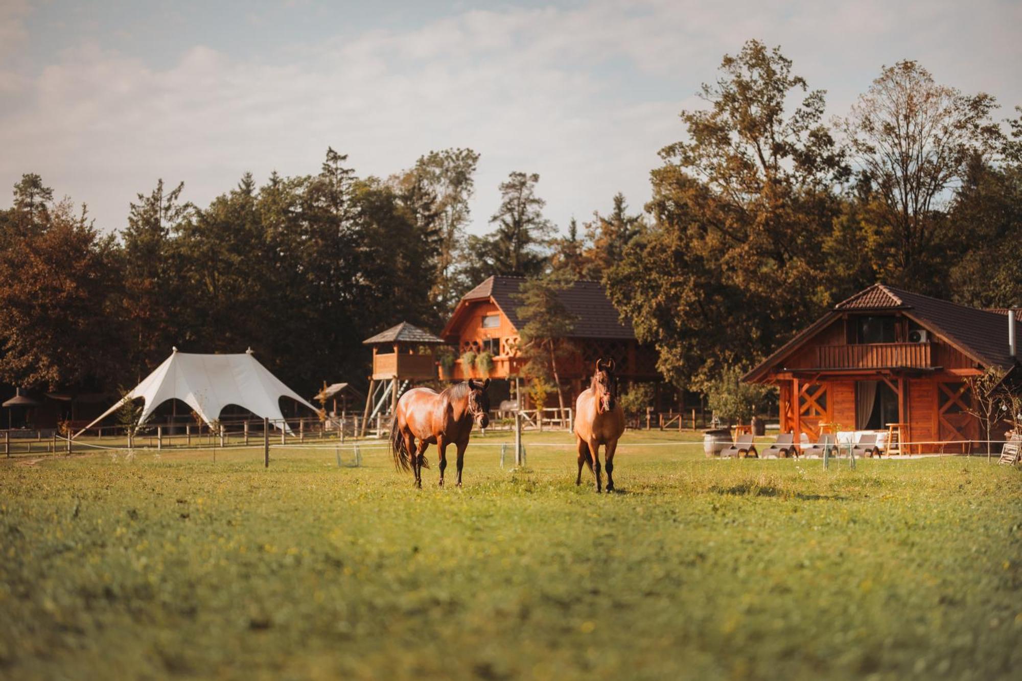Ranc Mackadam Ranch Mackadam Trzic Exterior foto